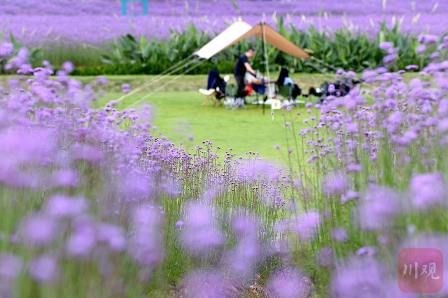 （转载）成都：公园城市运动“四件套”正风靡