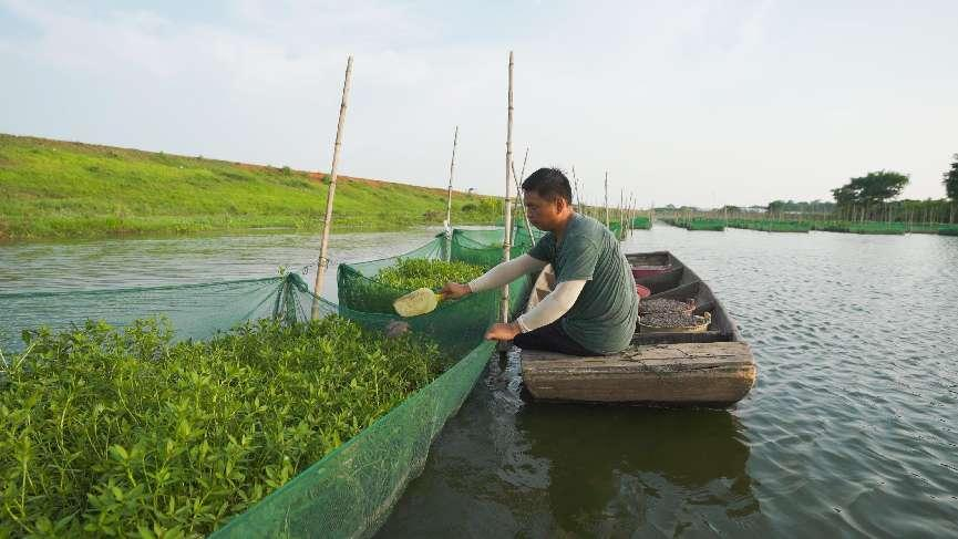 From Fishing to Aquaculture: Fishermen's New Path to Wealth in Jinxian County, Jiangxi Province_fororder_图片2