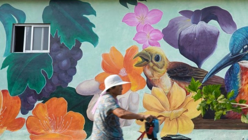山东泰安：多彩墙绘艺术画扮靓乡村