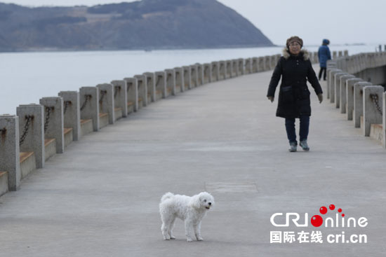 图片默认标题_fororder_ne20180131037