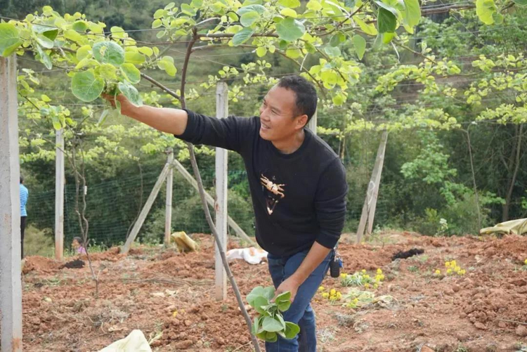 乐山犍为：农业人才返乡创业 描绘乡村振兴美丽画卷_fororder_图片5