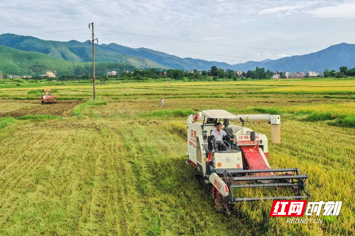 湖南蓝山：农机助力“双抢”_fororder_1
