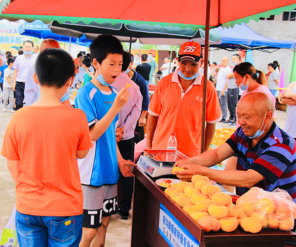 广元剑阁：“蟠”望有你 “桃”你喜欢_fororder_活动现场-1