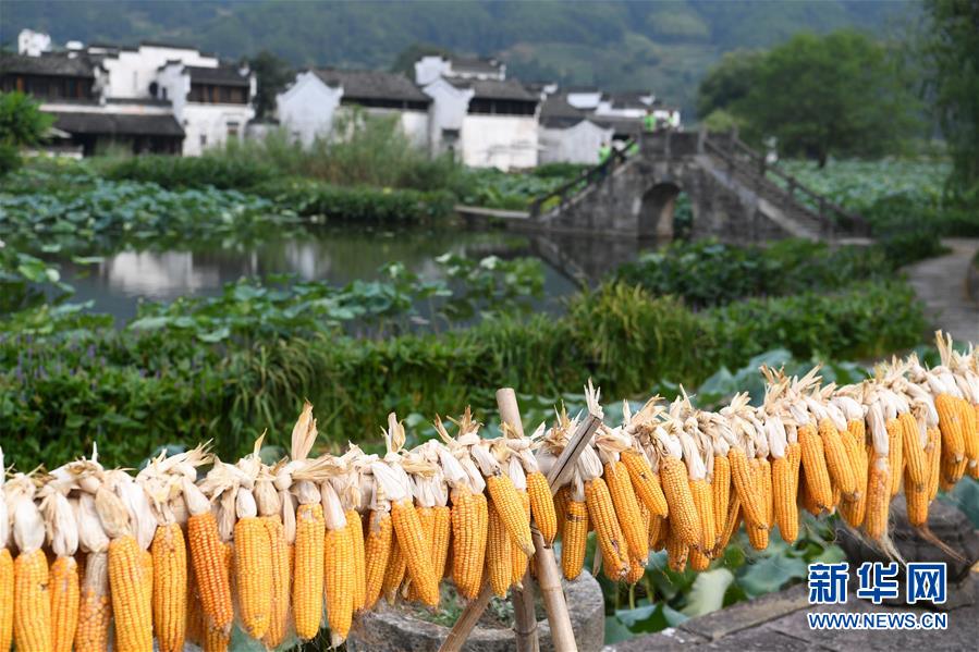 安徽呈坎古村风光好