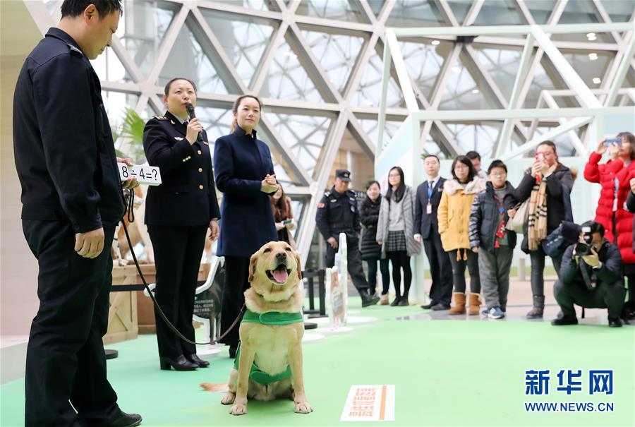 上海科技馆举办狗年生肖展