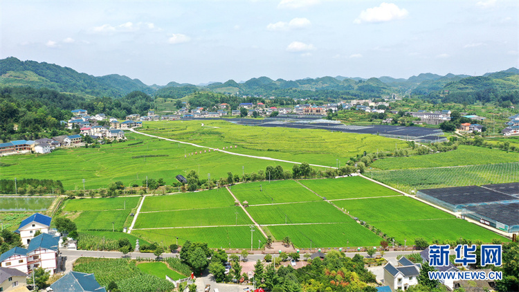 在希望的田野上丨航拍贵州花茂村 乡村振兴绘新卷