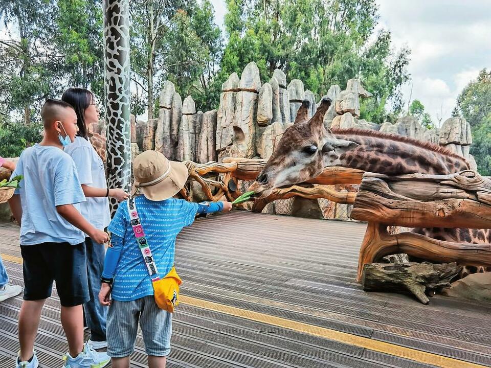 雲南野生動物園迎來火熱暑假遊