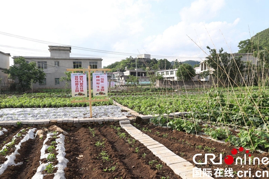 貴州六枝：“千家萬戶小康菜園”成為美麗鄉村新景色
