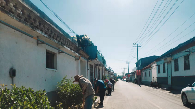 【原创 莱芜合作稿 推城市频道 出城市频道链接】济南市莱芜区寨里镇有序开展夏季绿化养护管理工作_fororder_图片1