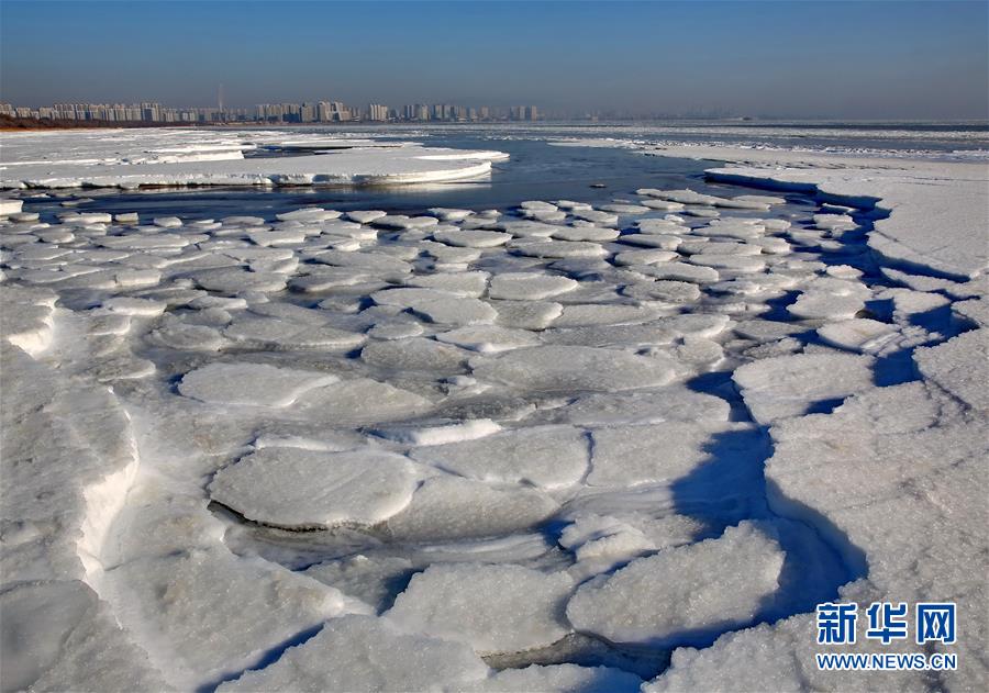 河北秦皇岛：靓丽海冰