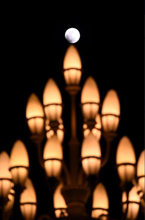 北京拍摄的月亮，与人民大会堂外的玉兰灯相映成趣。_fororder_IMG_8060.JPG