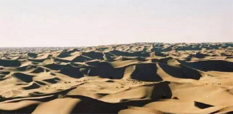 庫布其沙漠治理模式：向世界傳遞綠色治沙經驗_fororder_2