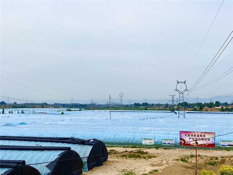 【争先崛起看中部】朔州：推动资源型经济转型 建设现代化塞上绿都