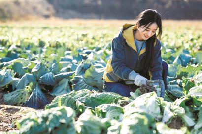 《警察荣誉》《幸福到万家》对基层社会的深情凝视与深刻剖析