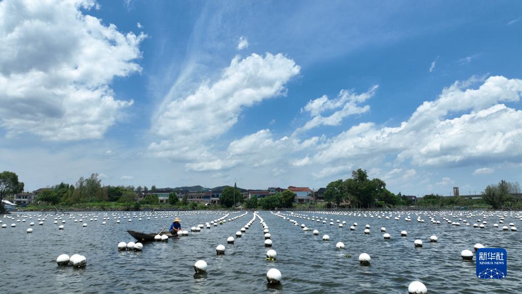 浙江湖州：珍珠串起“美麗經濟”