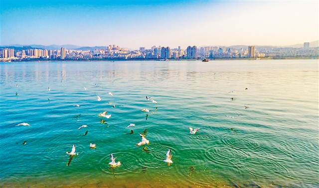 【媒体走基层专题 最新消息】重庆丰都:保护生态 绿色农业助跑全面小康 【媒体走基层专题 最新消息】重庆丰都:保护生态 绿色农业助跑全面小康