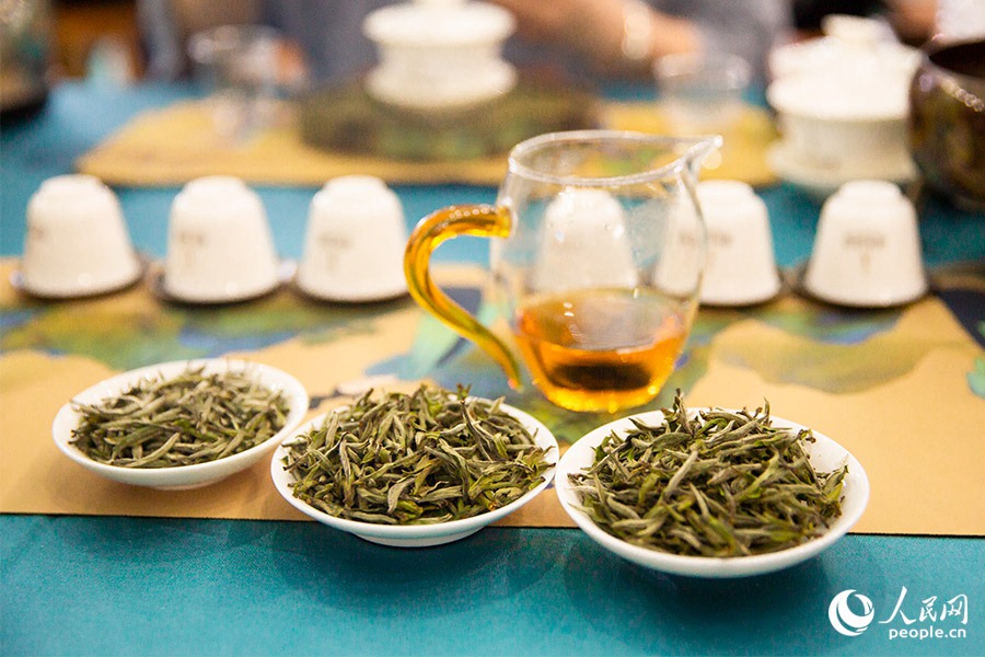 福建政和：茶産業跑出鄉村振興“加速度”