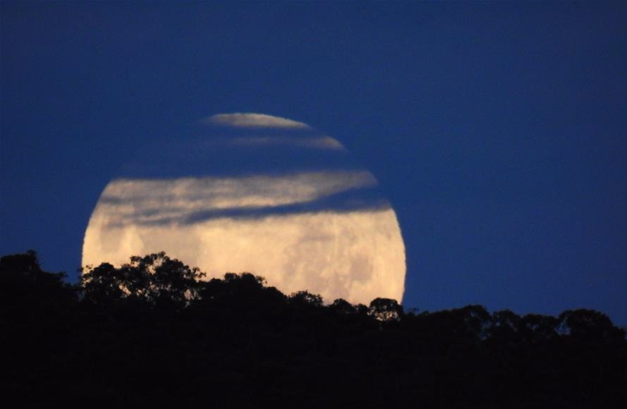 1月31日晚，月亮从澳大利亚堪培拉的黑山上升起。_fororder_1122349854_15174055436721n