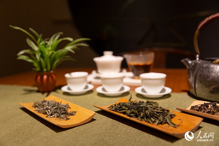福建政和：茶産業跑出鄉村振興“加速度”