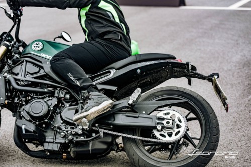 幼狮800续写经典传奇 公布售价55800起