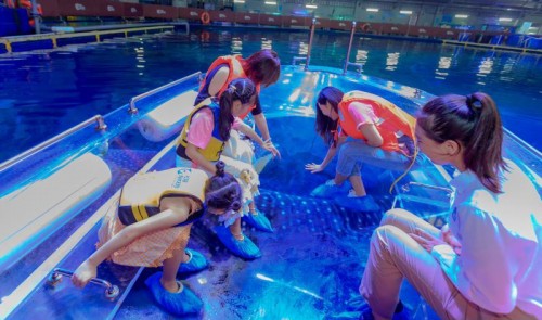 2019“世界鲸鲨日”，珠海长隆世界最大鲸鲨馆全开放