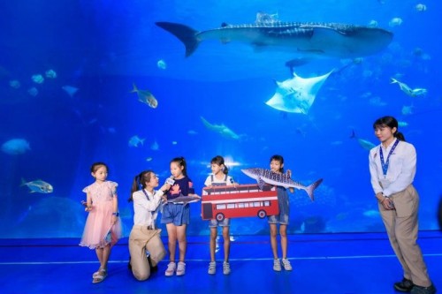 2019“世界鲸鲨日”，珠海长隆世界最大鲸鲨馆全开放