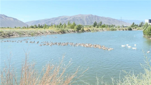 新疆巩留县：阿克塔木从贫困村到“百万”村的华丽转身