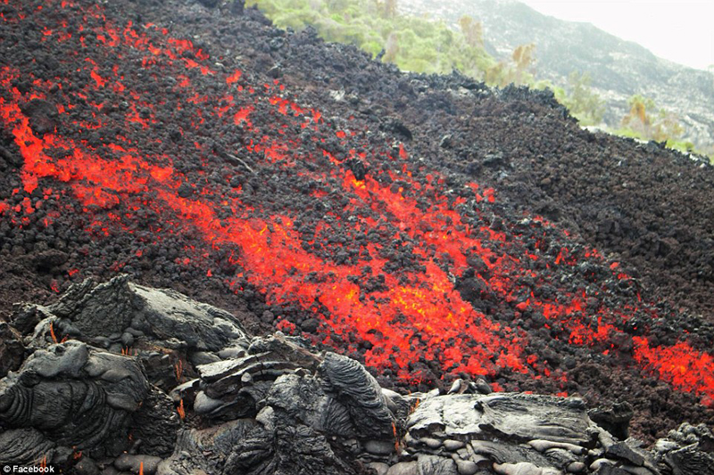 攝影師身處火山中拍熔岩燒燬樹木瞬間