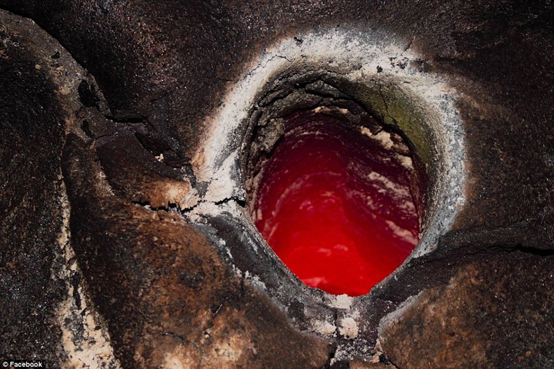 摄影师身处火山中拍熔岩烧毁树木瞬间(组图)