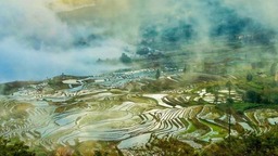 雲南改進作風提升效能促發展
