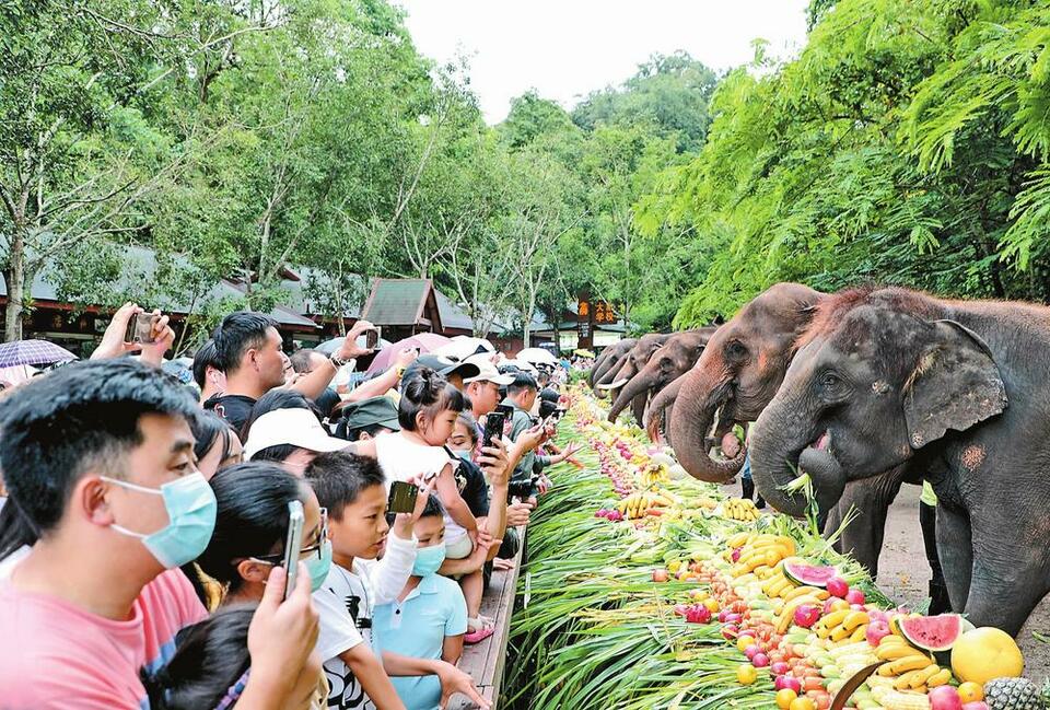 “世界大象日”活动在云南西双版纳举行_fororder_0b