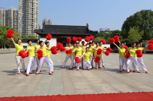 （供稿 文體列表 三吳大地南京 移動版）南京首個智慧廣場舞示範點建成