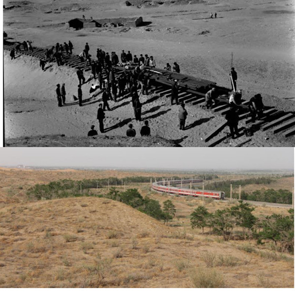 奋斗的中国人七旬治沙愚公张克智穷尽半生与沙魔掰手腕