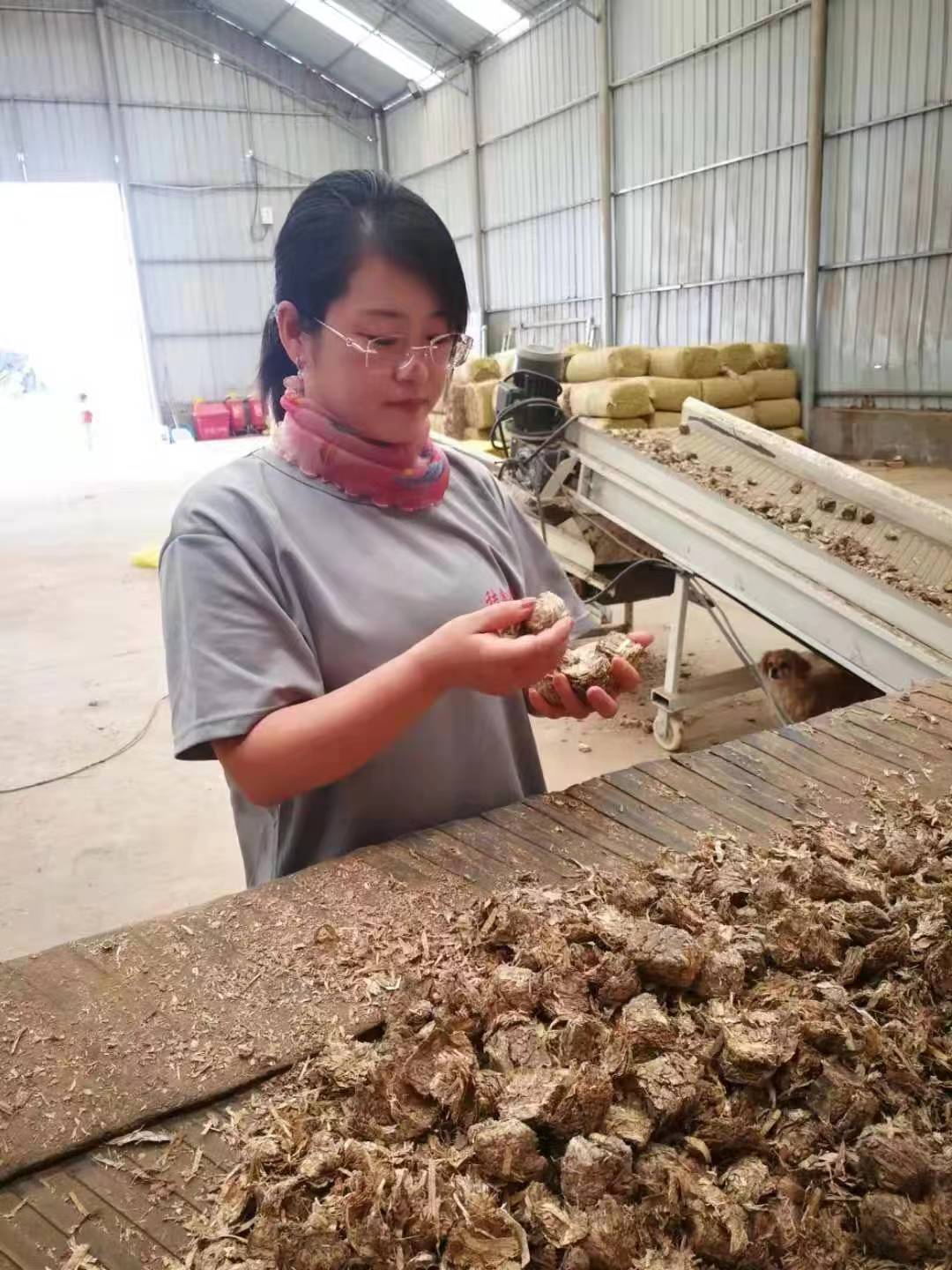 拼一把，不让青春留遗憾 —记山西阳高县返乡创业女大学生王美萍_fororder_大学生1