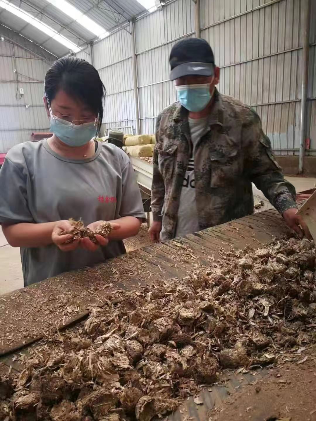 拼一把，不让青春留遗憾 —记山西阳高县返乡创业女大学生王美萍_fororder_大学生2