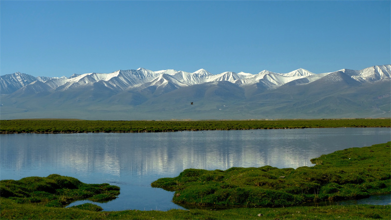 图片默认标题_fororder_IMG_1488