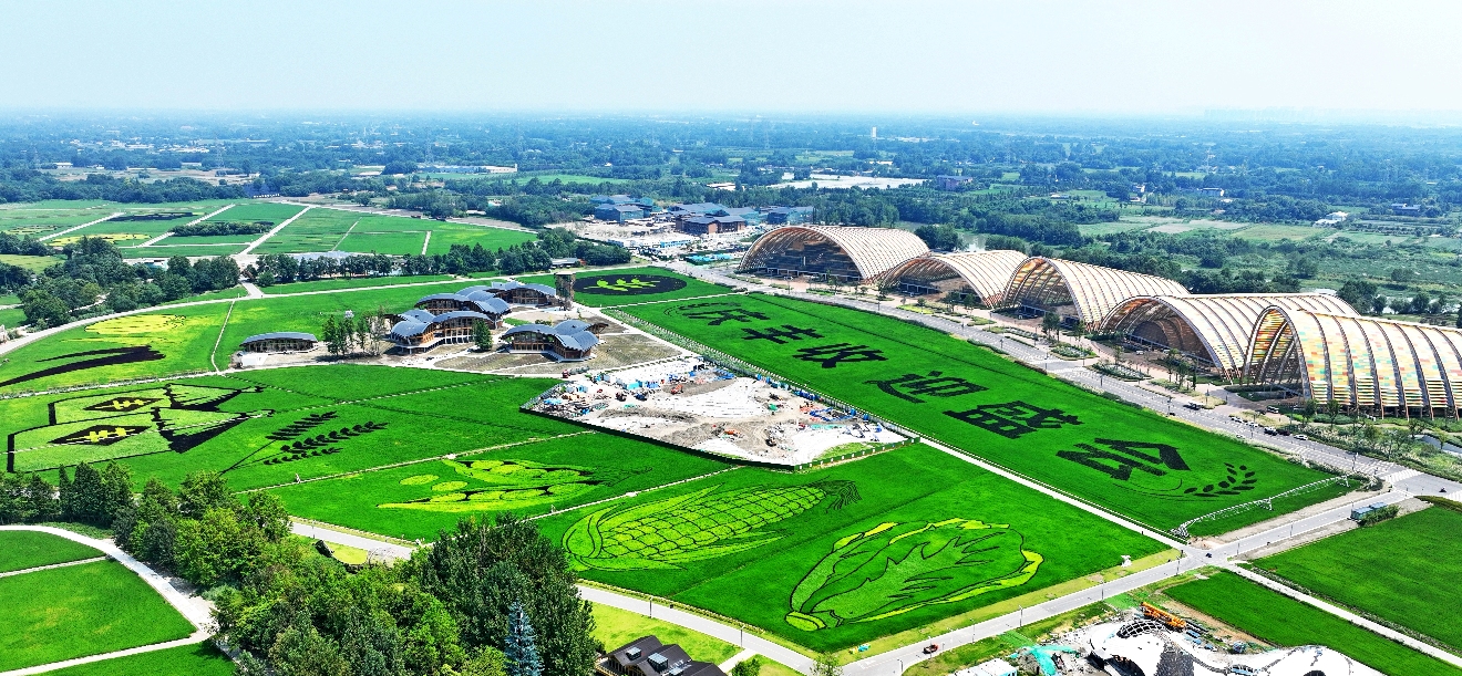 （转载）今秋来天府农博园 看全川最大规模稻田画