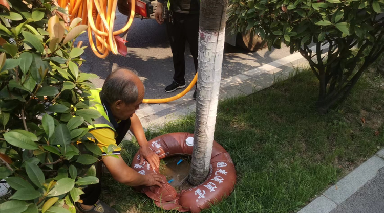 西安經開區：行道樹自帶喝水“神器” 抗旱又解渴_fororder_sss