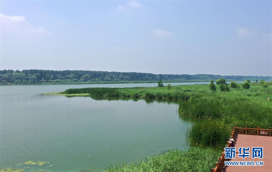 天津：走进潮白河国家湿地公园