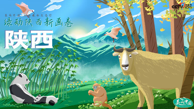 【美丽中国·网络媒体生态行】这堂以三秦大地为“教室”的思政课讲了什么？