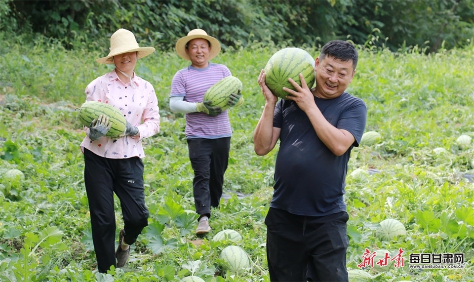 【隴南】隴南徽縣泥陽鎮打造“一村一品”特色産業_fororder_3