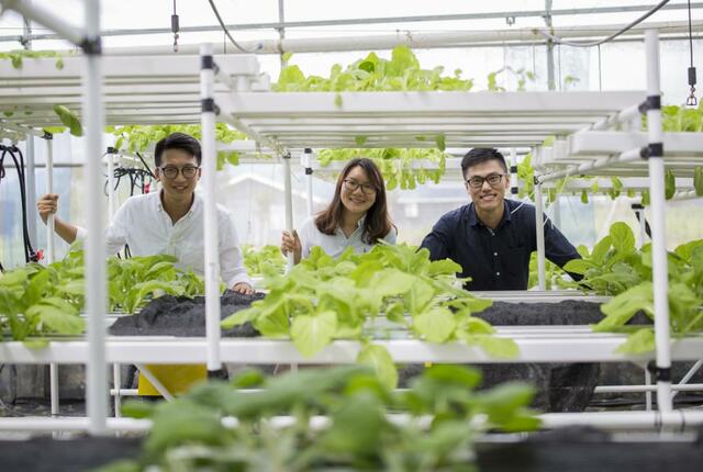 第一经济大省的“农业经”：百园强县 千亿兴农