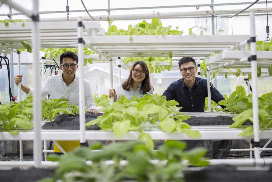 第一经济大省的“农业经”：百园强县 千亿兴农