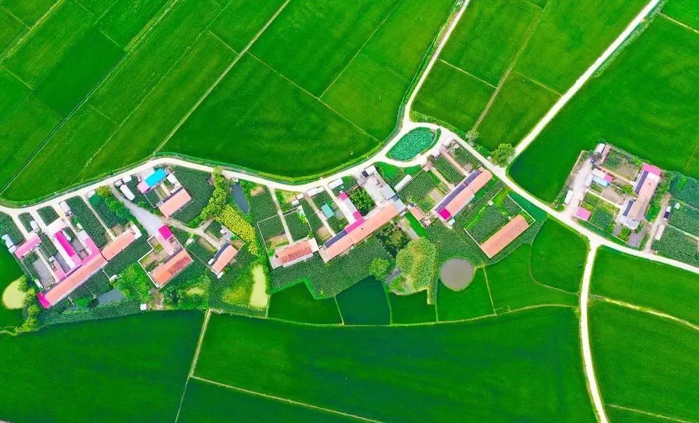 做好督察整改 建设美丽大连