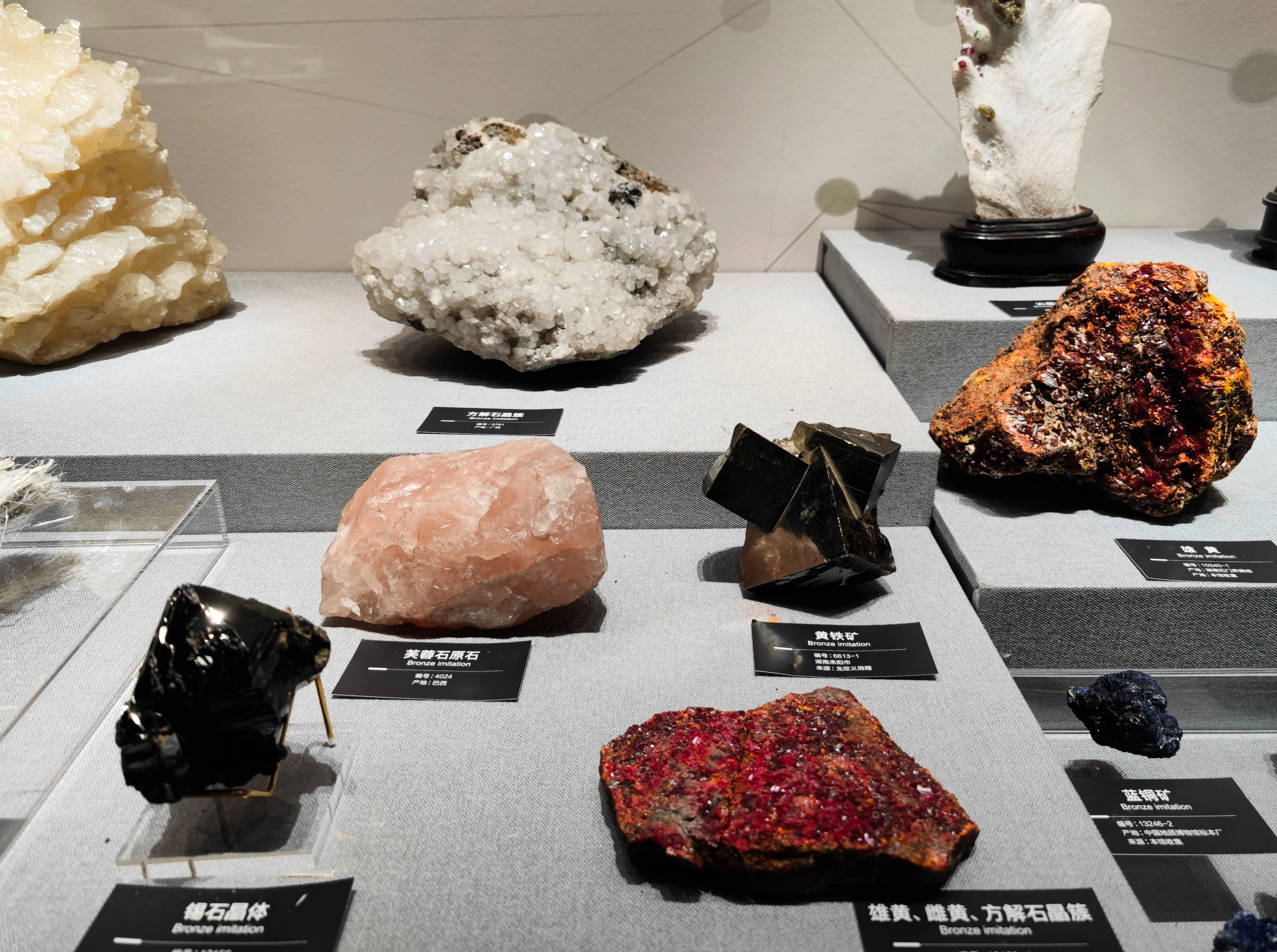 （转载）可以看恐龙化石的成都自然博物馆快要开馆啦