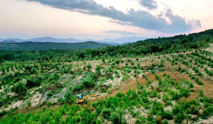 河南南阳：两年修复两万亩 荒山披绿装
