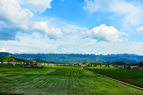 重庆巫山生态农业：绿了青山富了民_fororder_图片4