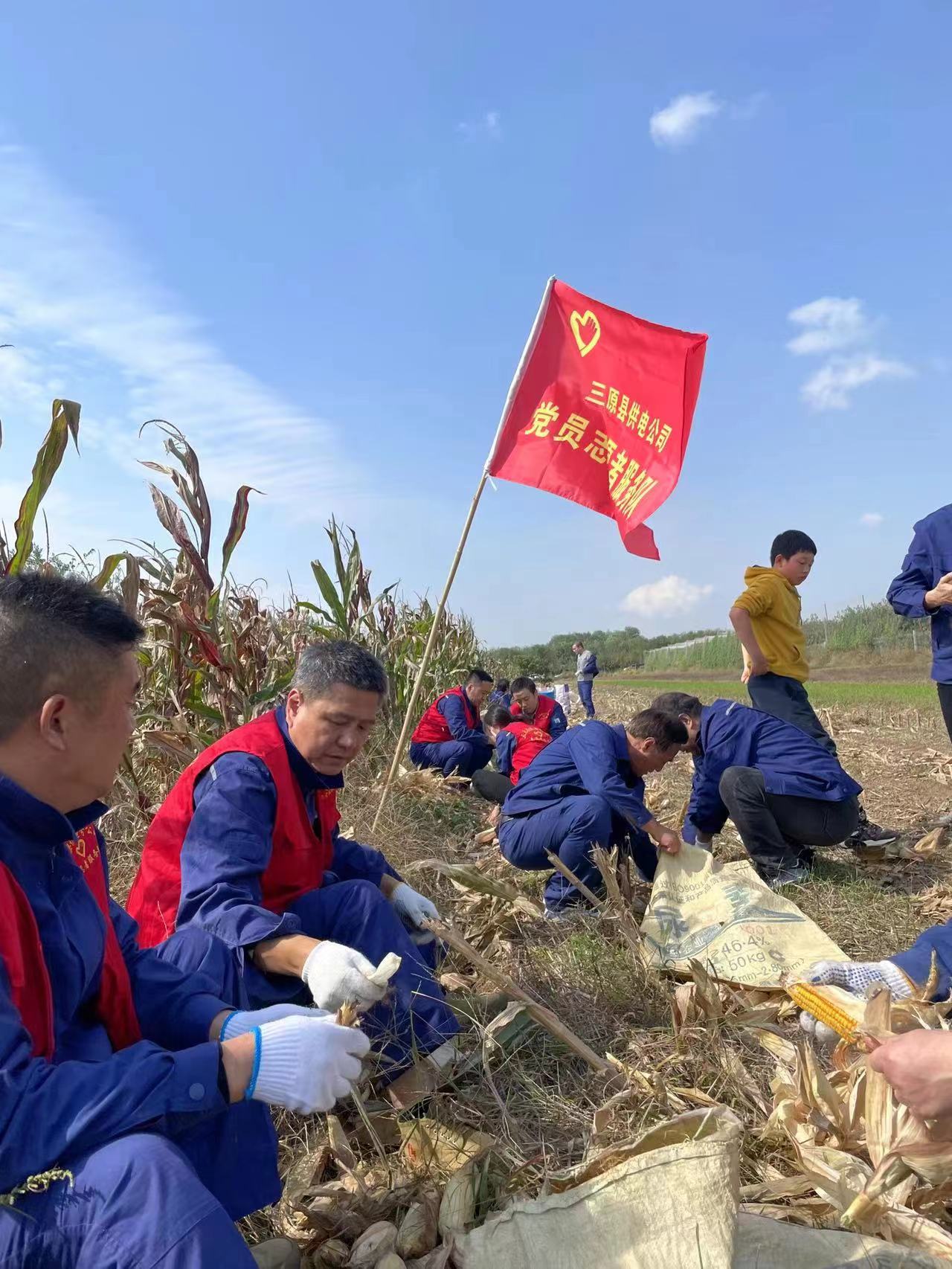 电力“引擎”赋能乡村振兴加速度——国网咸阳供电公司服务乡村振兴侧记_fororder_志愿队电力