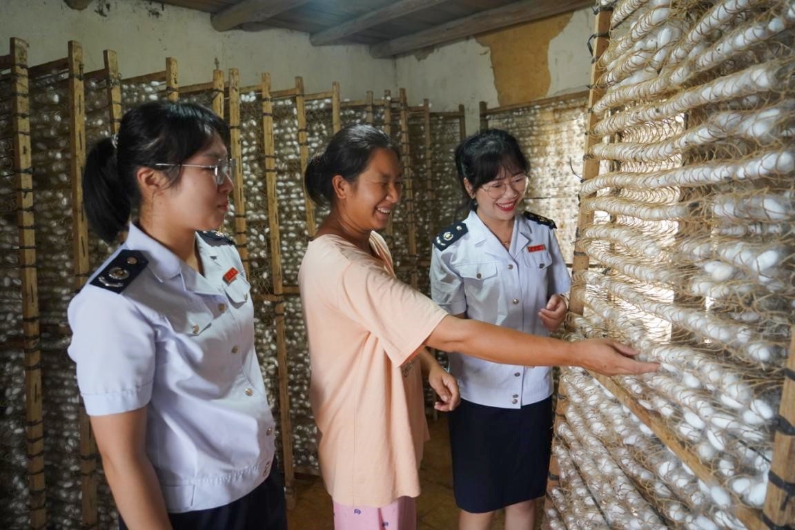 广东韶关：“税”力量助力蚕桑业“织”出致富路_fororder_11