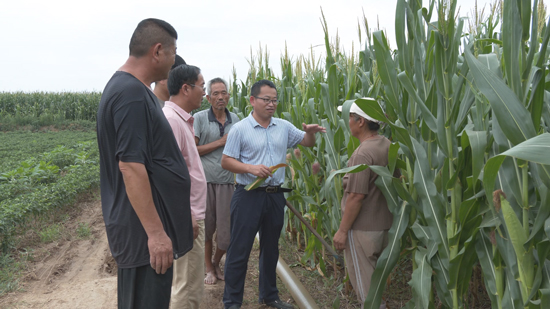 【原创】濮阳市清丰县：科学抗旱 确保秋粮再丰收_fororder_图片1